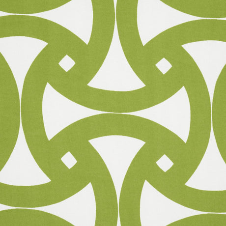 Schumacher Santorini Print Indoor/Outdoor Fern Fabric