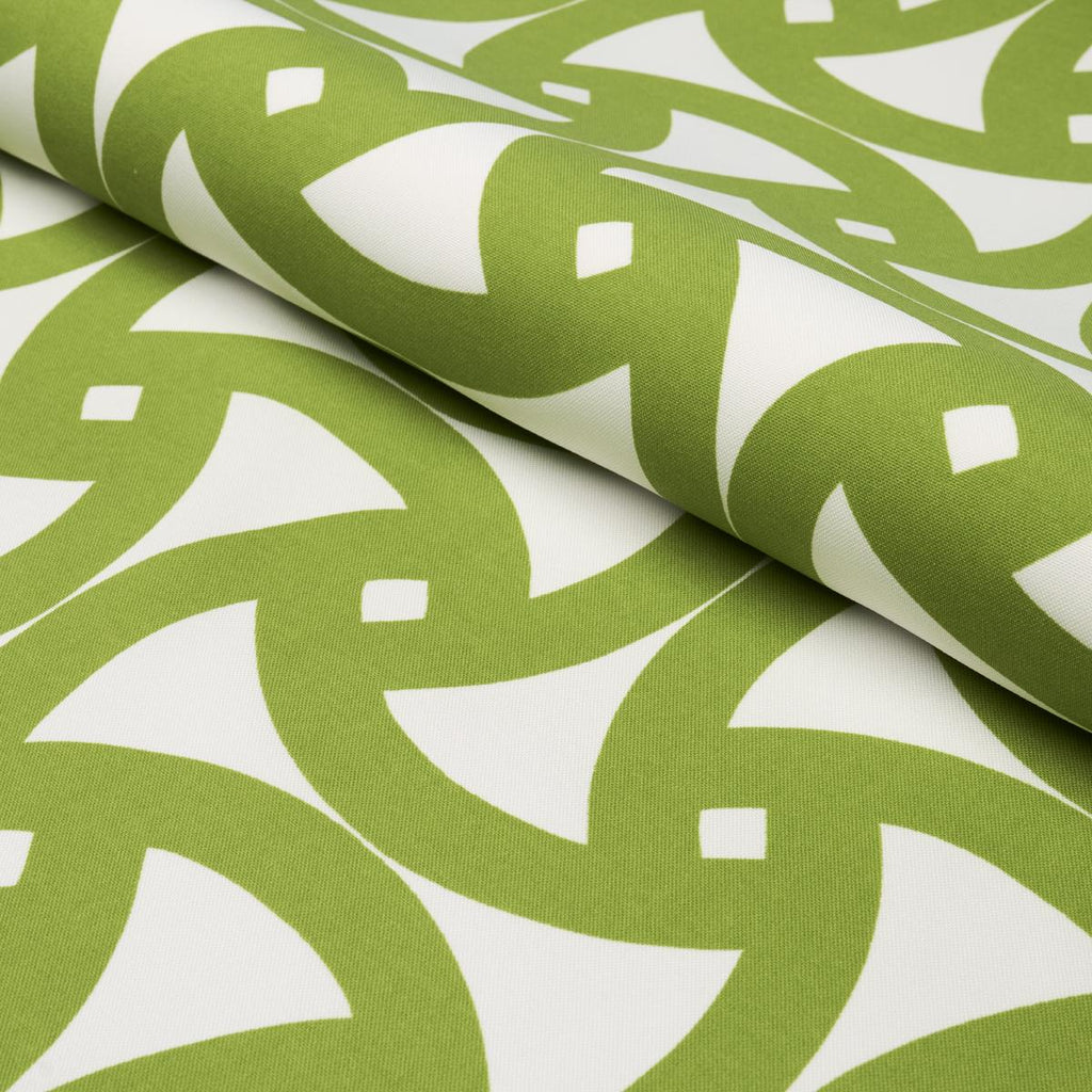 Schumacher Santorini Print Indoor/Outdoor Fern Fabric