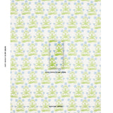 Schumacher Mughal Hand Block Print Sky Pistachio Fabric