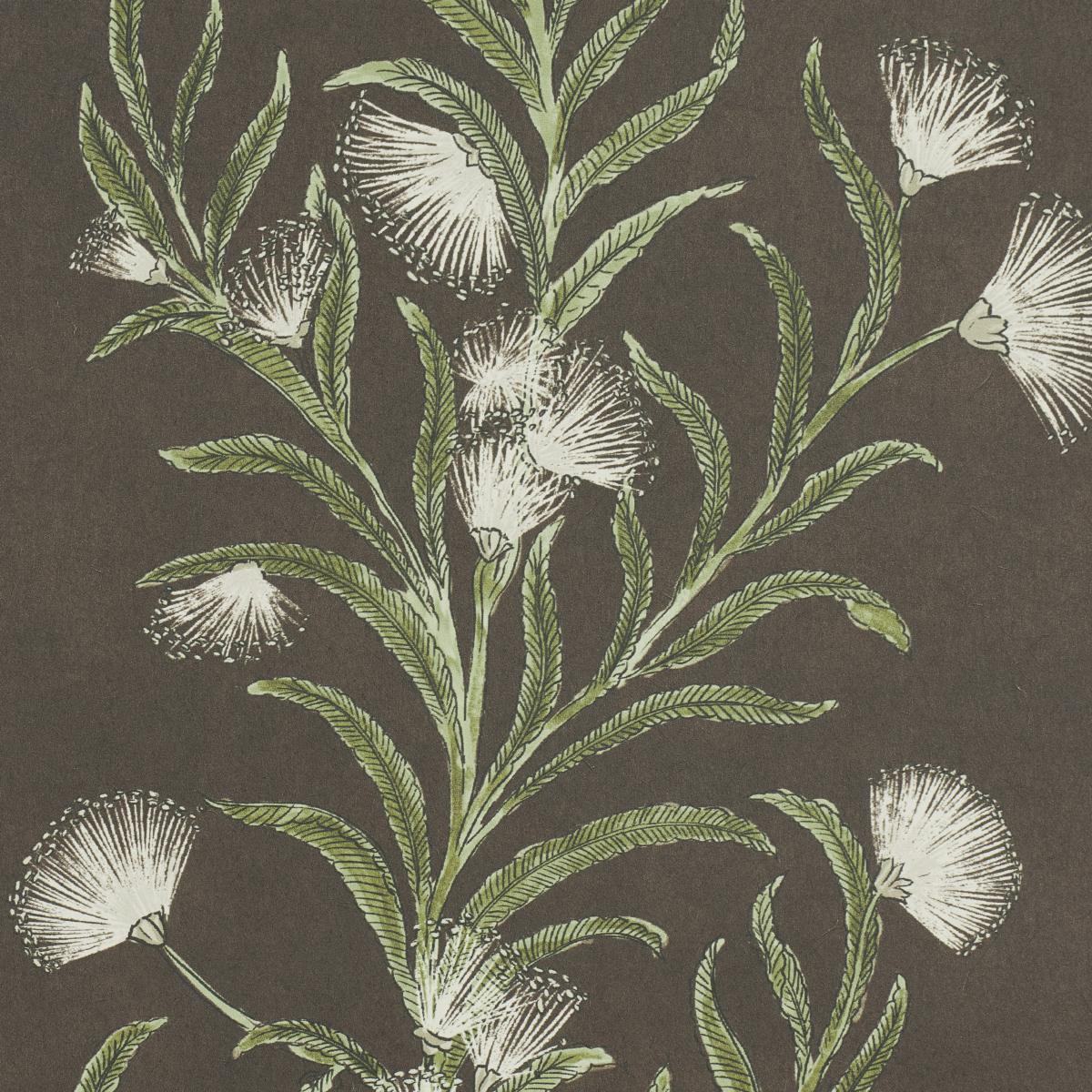 Schumacher Tasmanian Mimosa Brown &Green Wallpaper