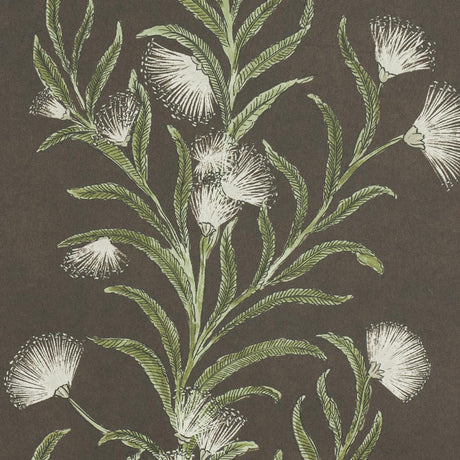 Schumacher Tasmanian Mimosa Brown &Green Wallpaper