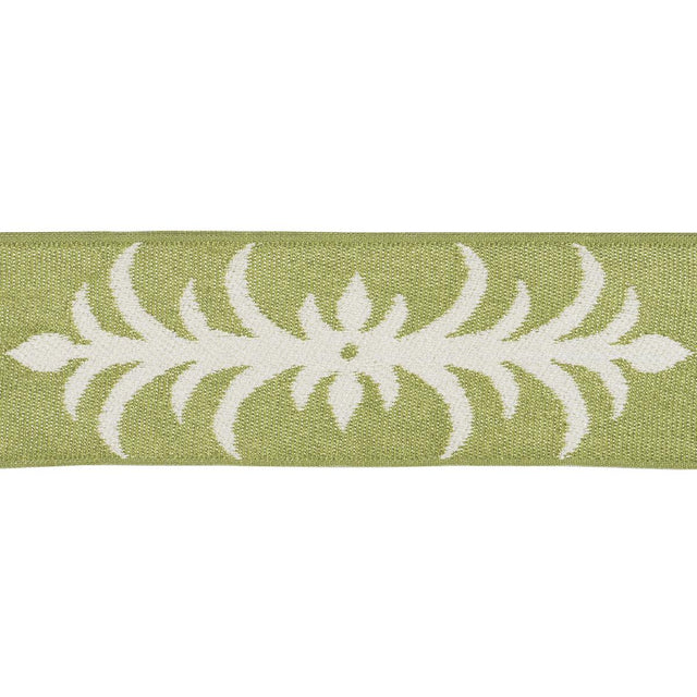 Schumacher Romaine Acanthus Tape