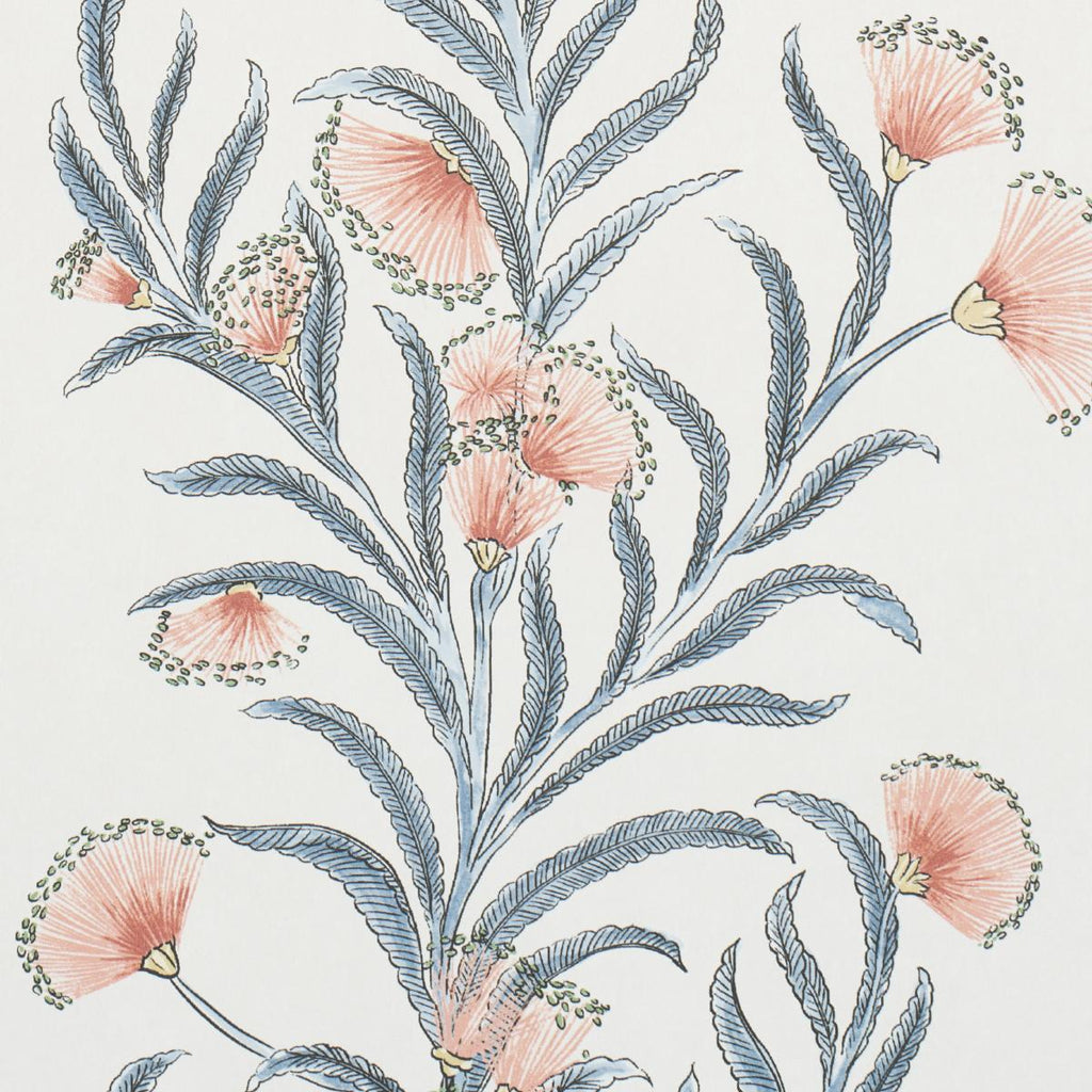 Schumacher Tasmanian Mimosa Pink & Grey Wallpaper