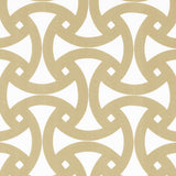 Schumacher Santorini Print Indoor/Outdoor Desert Fabric