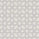 Schumacher Le Maroc Pingl Dove Fabric