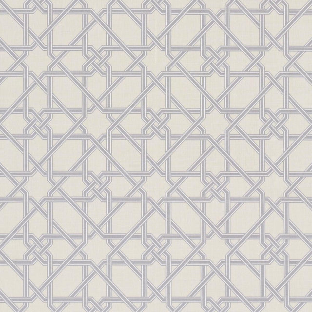 Schumacher Le Maroc Pingl Dove Fabric