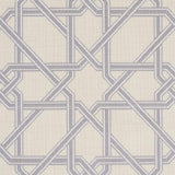 Schumacher Le Maroc Pingl Dove Fabric