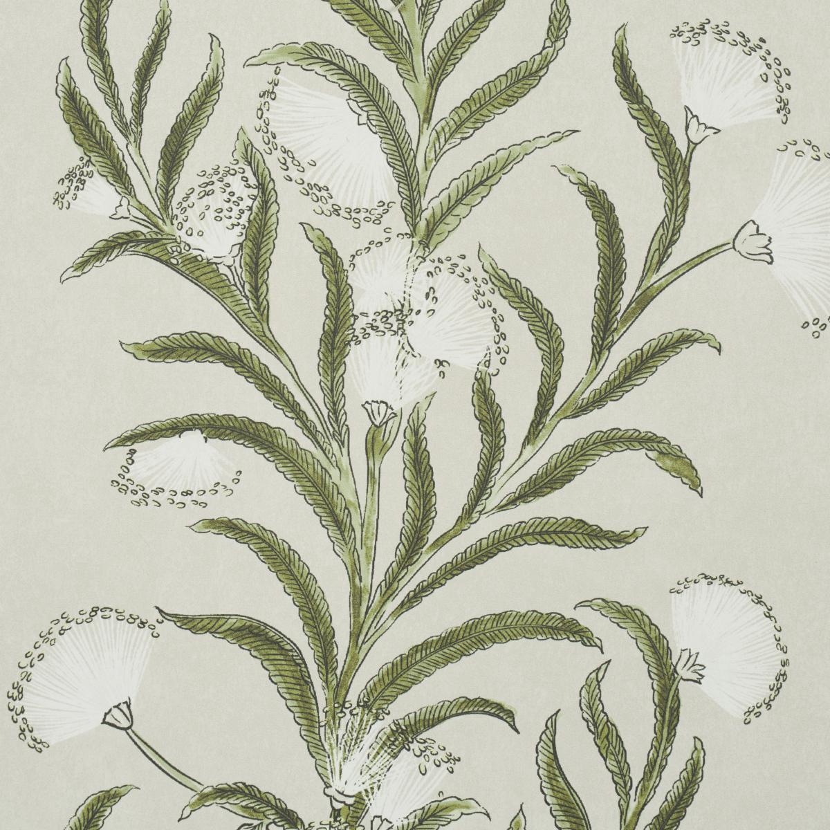 Schumacher Tasmanian Mimosa Ivory & Green Wallpaper