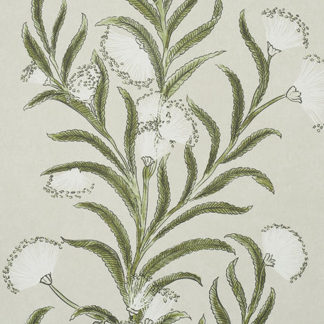 Schumacher Tasmanian Mimosa Ivory & Green Wallpaper
