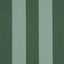 Schumacher Edwin Stripe Wide Dark Green Wallpaper