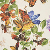 Schumacher Pyne Butterfly Monarch Orange Wallpaper