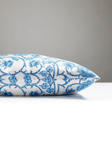 Scalamandre Ornamental Gate 22 X 22 - Sky Decorative Pillow