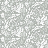 Elana Gabrielle TIDES STEAM Wallpaper