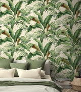 Tommy Bahama PALMIERS ALOE Wallpaper
