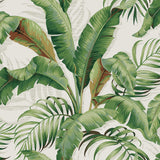 Tommy Bahama PALMIERS ALOE Wallpaper