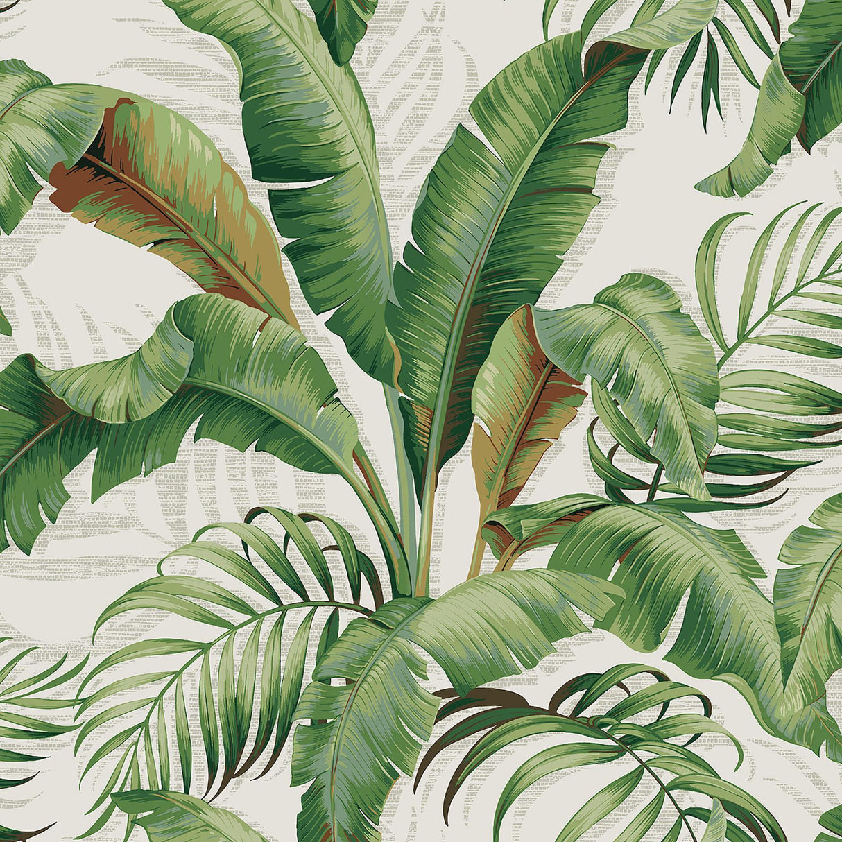 Tommy Bahama PALMIERS ALOE Wallpaper