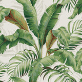 Tommy Bahama PALMIERS ALOE Wallpaper