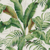 Tommy Bahama Palmiers Aloe Wallpaper