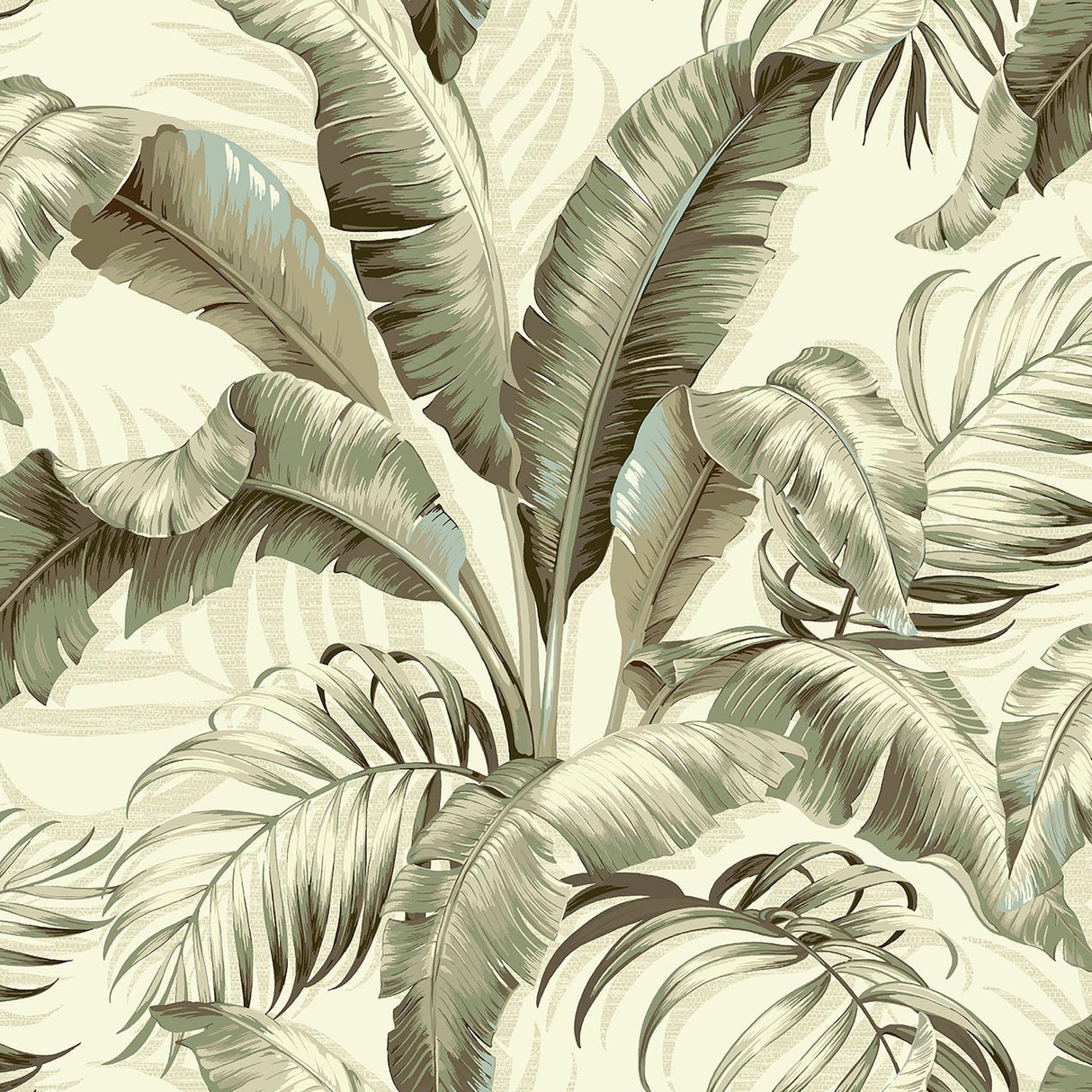 Tommy Bahama PALMIERS SILVER BIRCH Wallpaper
