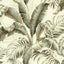 Tommy Bahama PALMIERS SILVER BIRCH Wallpaper