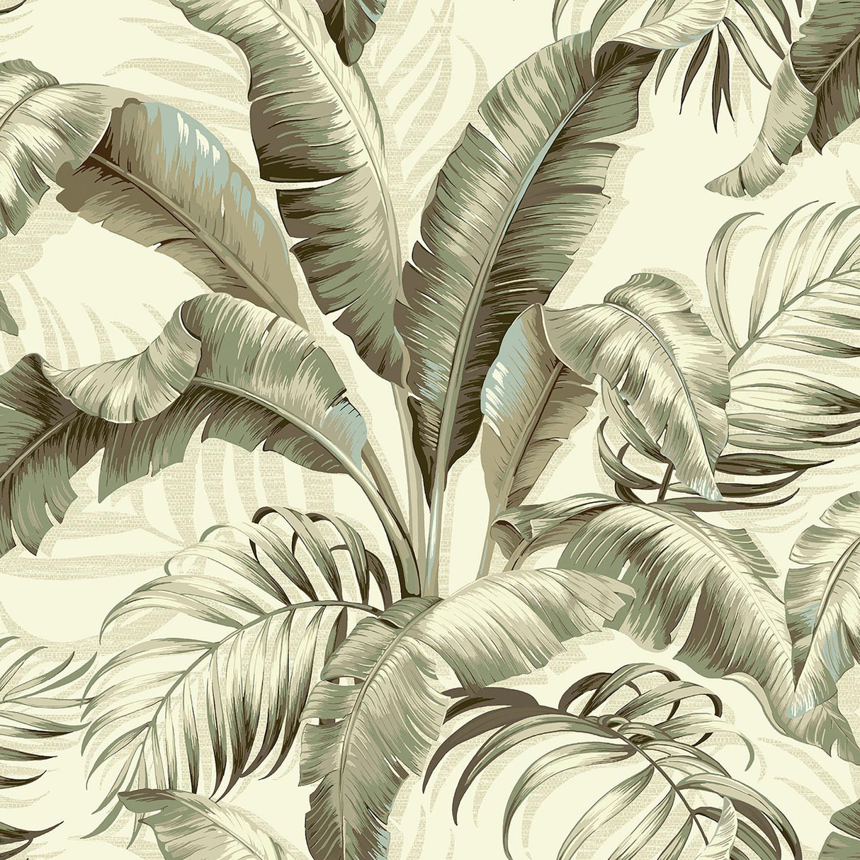 Tommy Bahama PALMIERS SILVER BIRCH Wallpaper