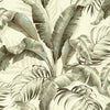 Tommy Bahama Palmiers Silver Birch Wallpaper