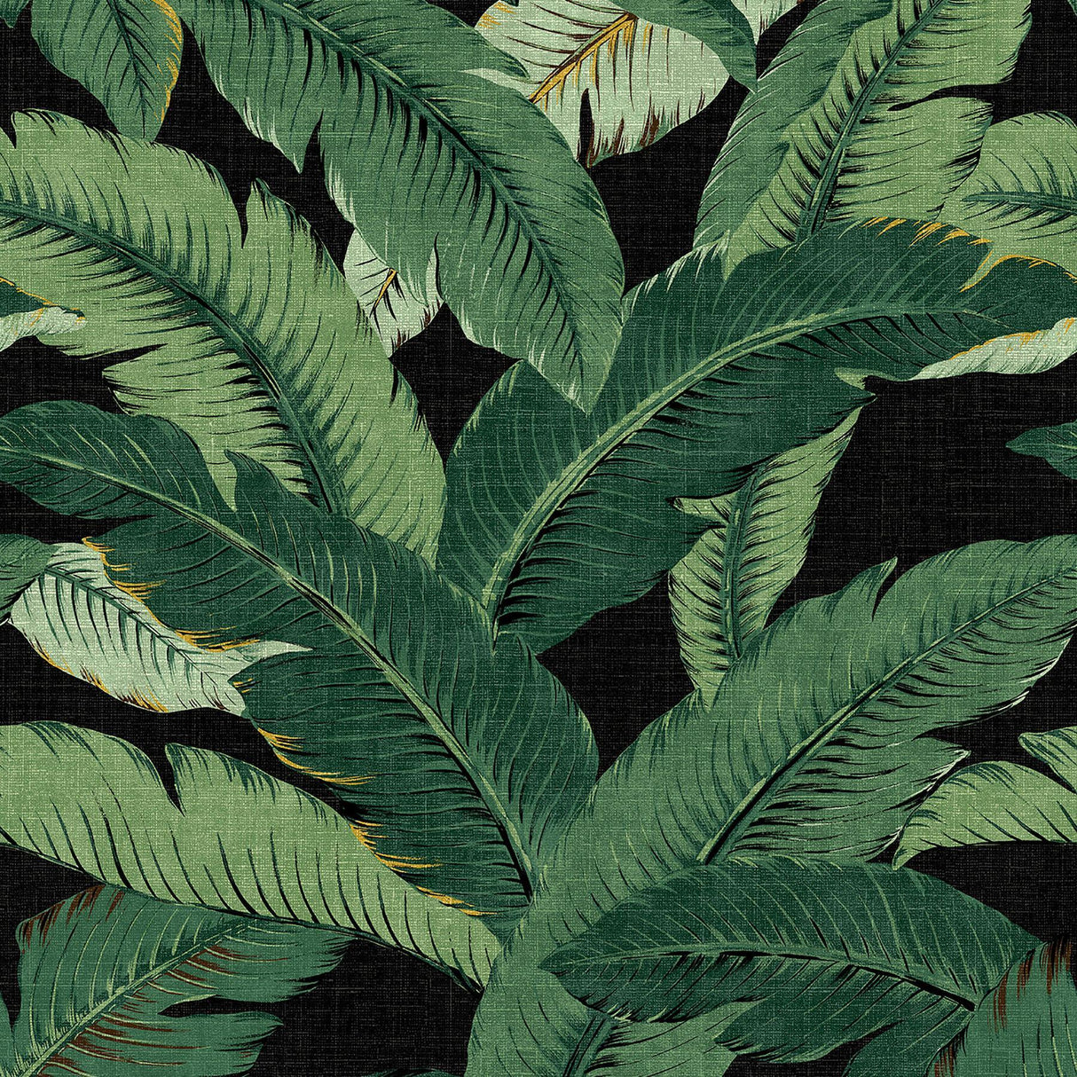 Tommy Bahama SWAYING PALMS COAL Wallpaper