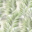 Tommy Bahama TRANQUILLO ALOE Wallpaper