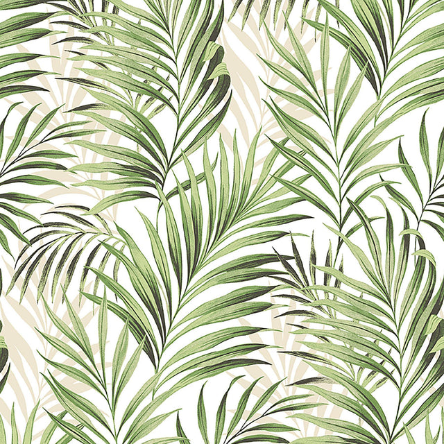 Tommy Bahama TRANQUILLO ALOE Wallpaper