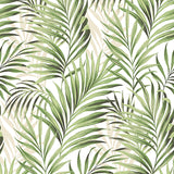 Tommy Bahama TRANQUILLO ALOE Wallpaper