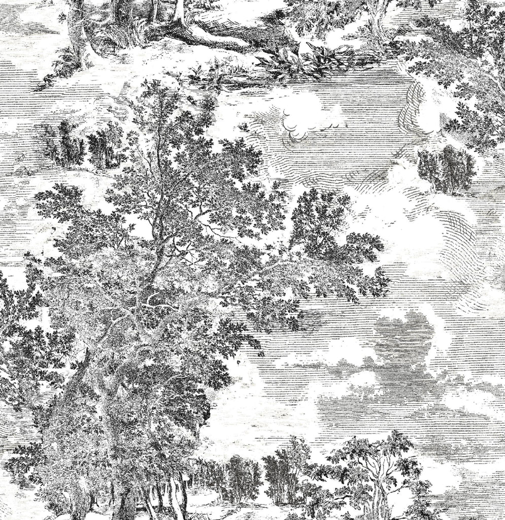 Surface Style SERENE SCENES CHARCOAL Wallpaper