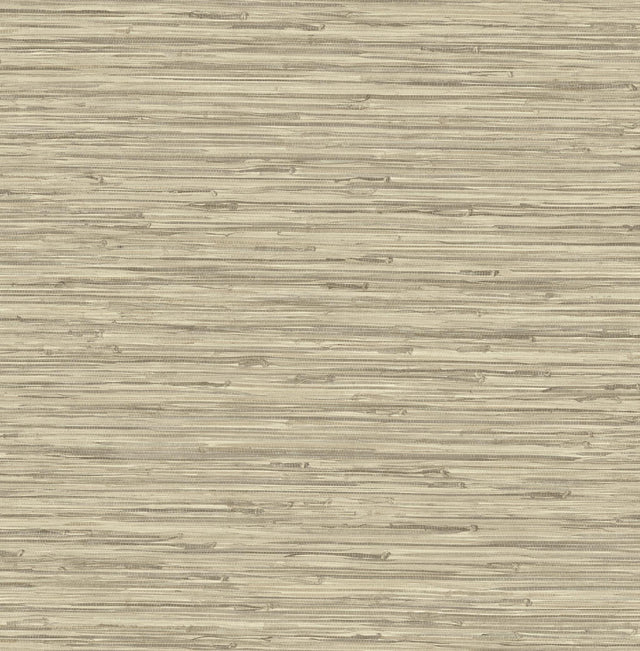 Surface Style TIKI TEXTURE OATMEAL Wallpaper