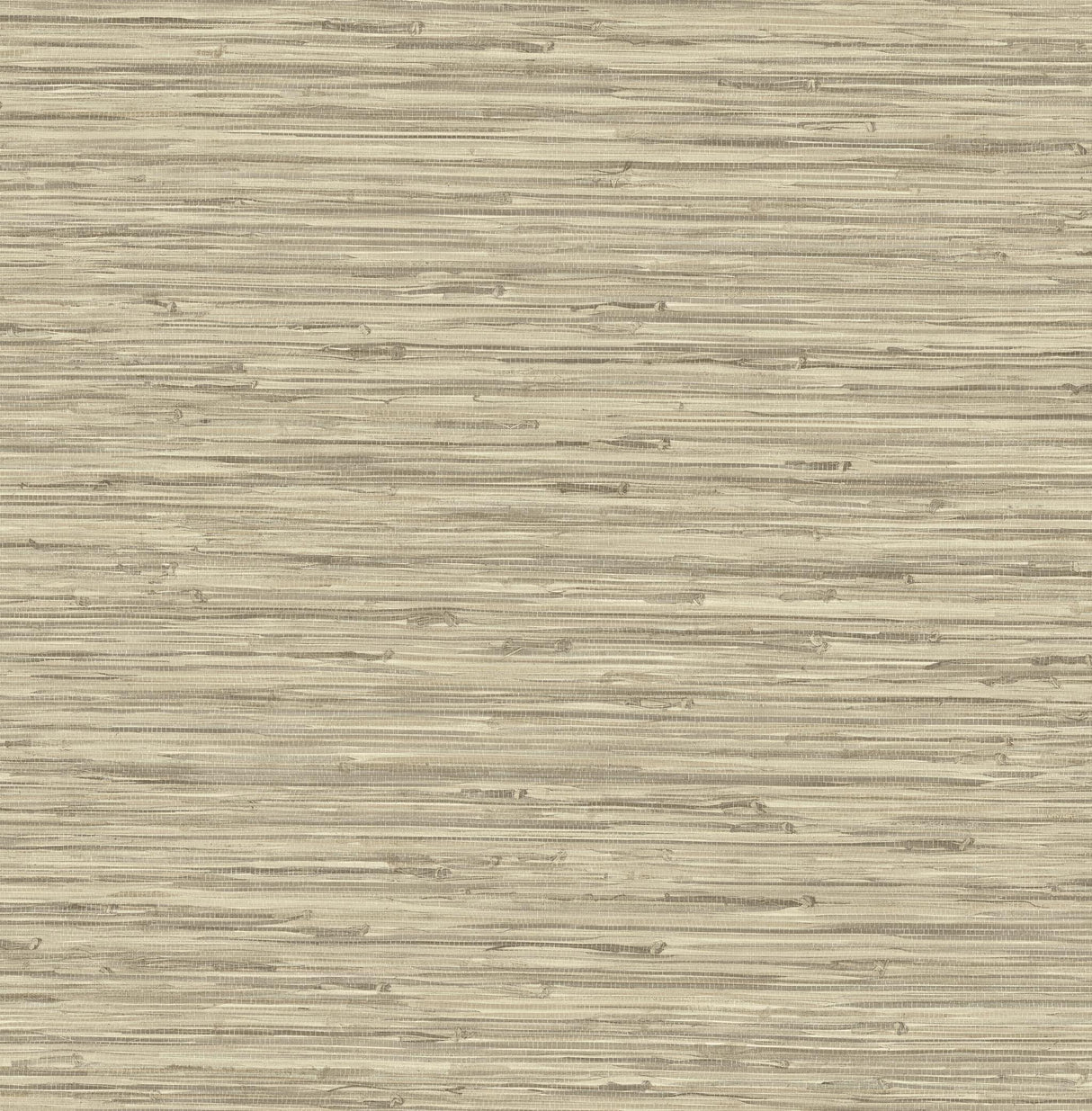 Surface Style TIKI TEXTURE OATMEAL Wallpaper