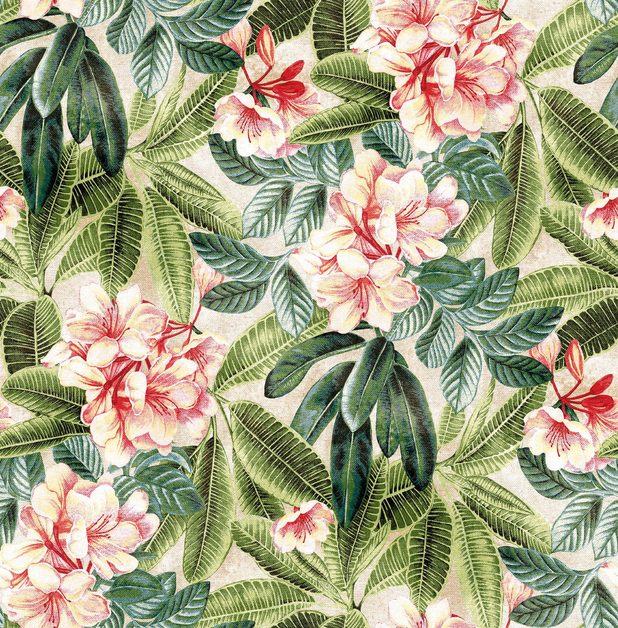 Tommy Bahama DARWIN FLORA SHELL Wallpaper