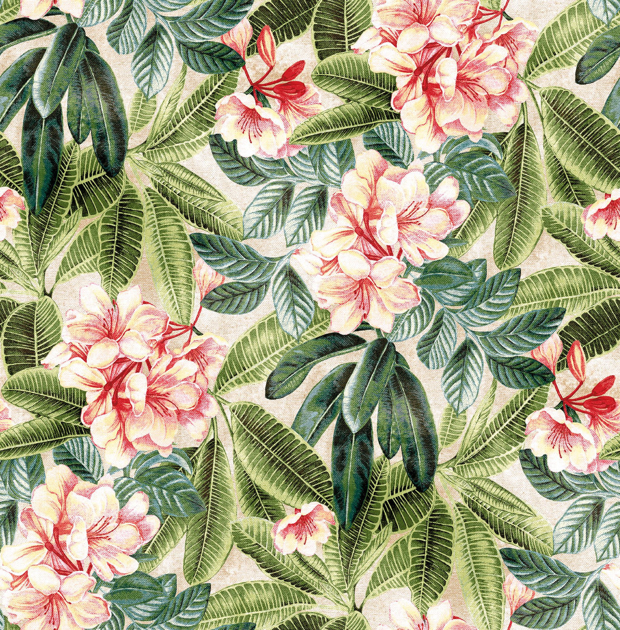 Tommy Bahama DARWIN FLORA SHELL Wallpaper