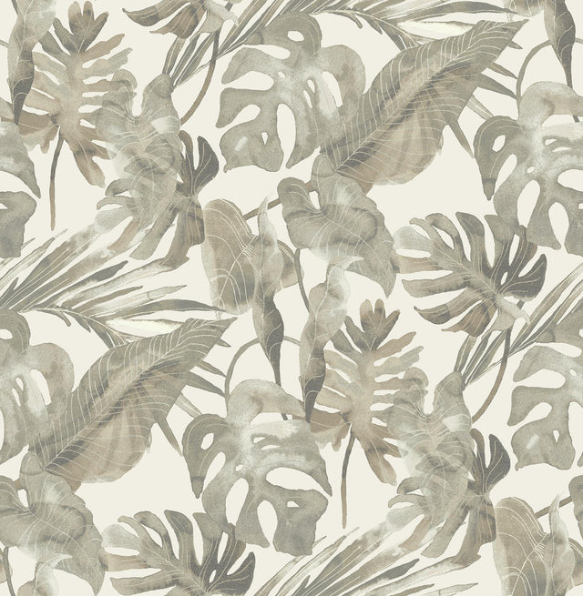 Tommy Bahama FALLING FRONDS DUSK Wallpaper