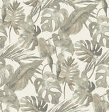 Tommy Bahama FALLING FRONDS DUSK Wallpaper