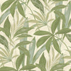 Tommy Bahama Buena Vista Bamboo Wallpaper