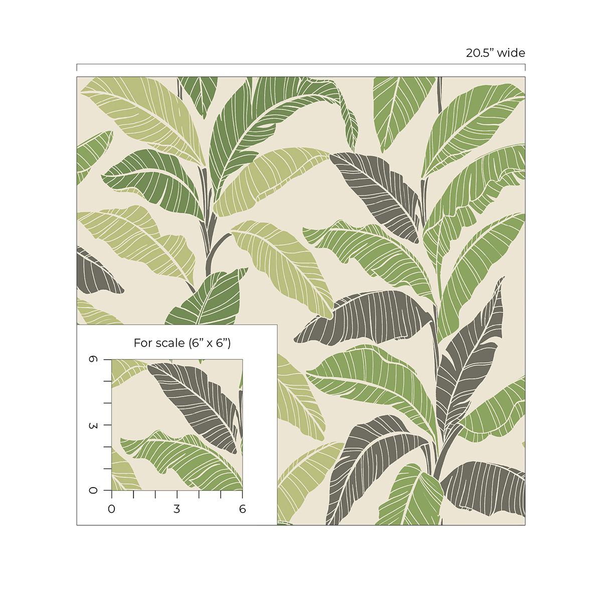 Tommy Bahama Leafy Fern Wallpaper