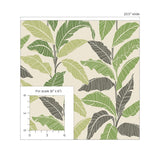 Tommy Bahama Leafy Fern Wallpaper