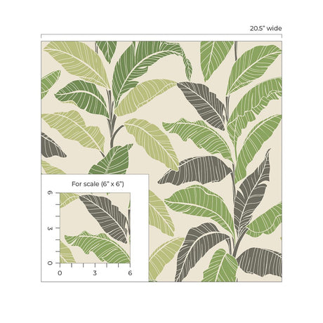 Tommy Bahama Leafy Fern Wallpaper