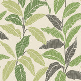 Tommy Bahama Leafy Fern Wallpaper
