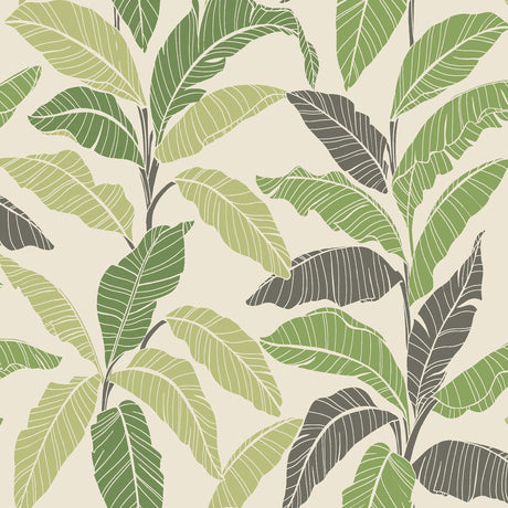 Tommy Bahama Leafy Fern Wallpaper
