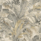 Tommy Bahama Nassau Coconut Wallpaper