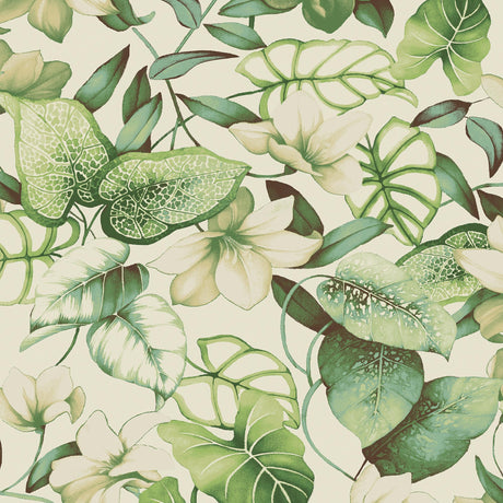 Tommy Bahama Windemere Aloe Wallpaper