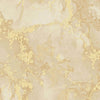 Brewster Home Fashions Grandin Pearl Marbled Wallpaper