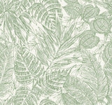 A-Street Prints Brentwood Green Palm Leaves Wallpaper by Scott Living