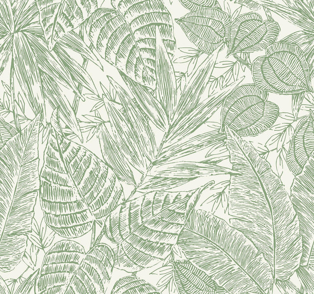 A-Street Prints Brentwood Green Palm Leaves Wallpaper by Scott Living