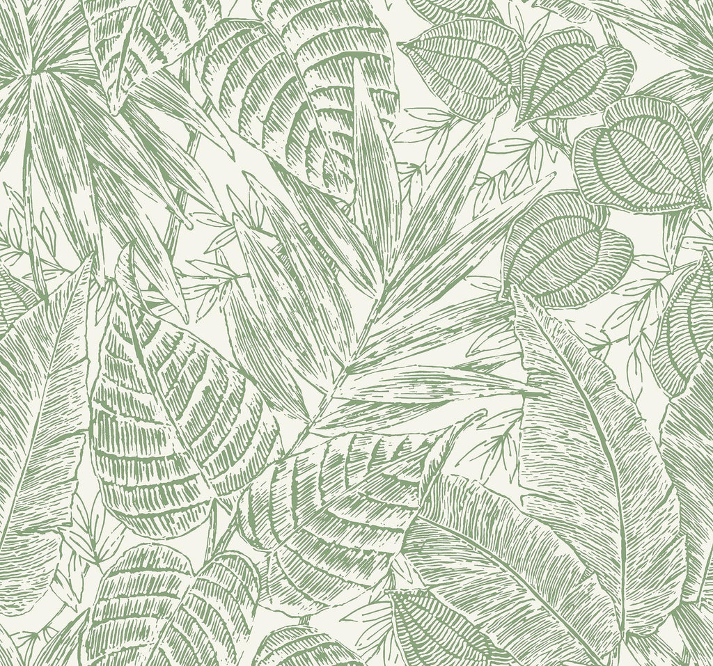 A-Street Prints Brentwood Green Palm Leaves Wallpaper by Scott Living