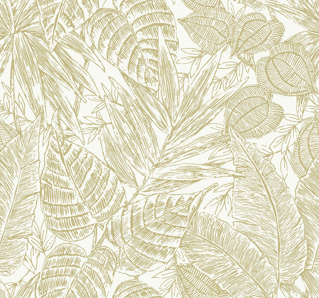 A-Street Prints Brentwood Yellow Palm Leaves Wallpaper by Scott Living